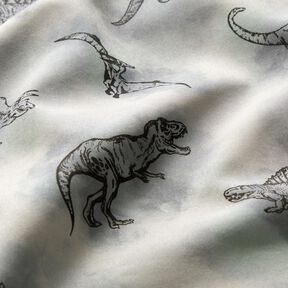 Softshell Dinos – hellgrau, 